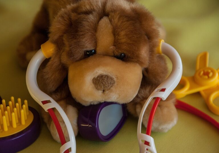 Essential Skills and Responsibilities of a Veterinary Practice Manager: A Shortage Occupation Offering Visa Sponsorship