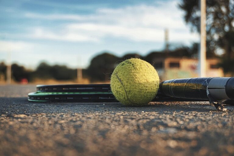 Essential Skills and Responsibilities of a Sports Scientist: A Shortage Occupation with Promising Career Prospects Essential Skills and Responsibilities of a Sports Scientist: A Shortage Occupation with Promising Career Prospects