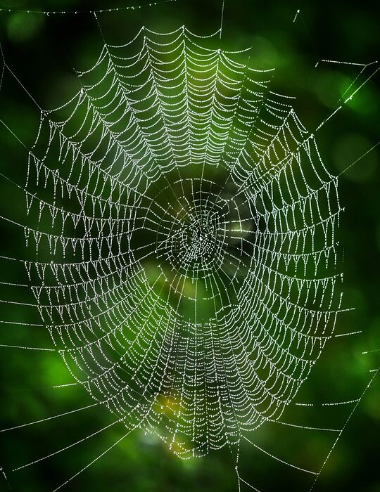 Essential Skills and Responsibilities of a Network Operations Manager: A Shortage Occupation with Growing Career Prospects