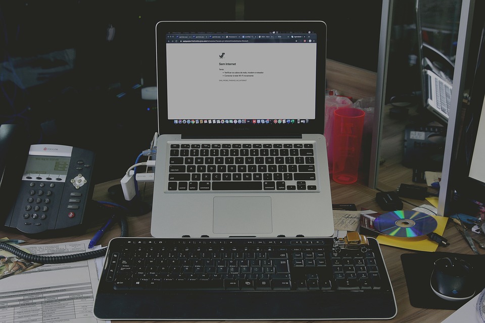 Essential Skills and Responsibilities for Programmers: A Shortage Occupation with Visa Opportunities