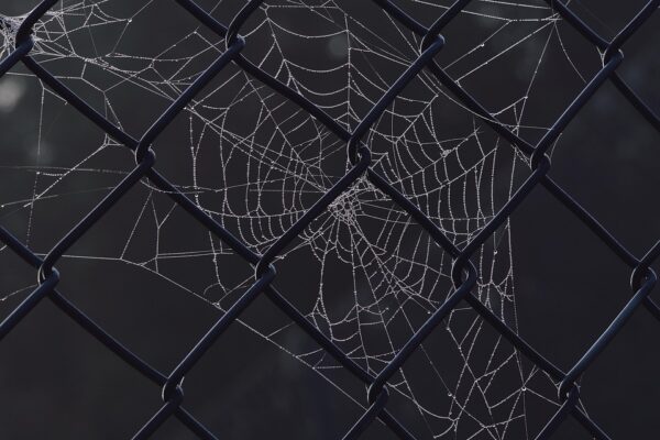 Essential Skills and Responsibilities for Network Consultant Roles: A Shortage Occupation with Strong Visa Opportunities