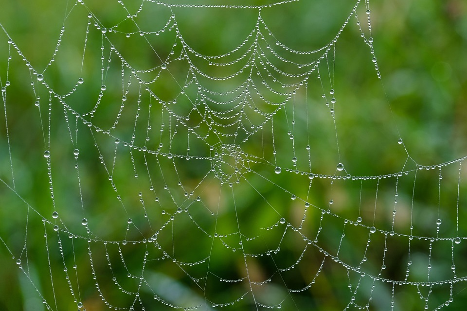 Essential Skills and Responsibilities for Web Manager: A Shortage Occupation with Promising Career Prospects