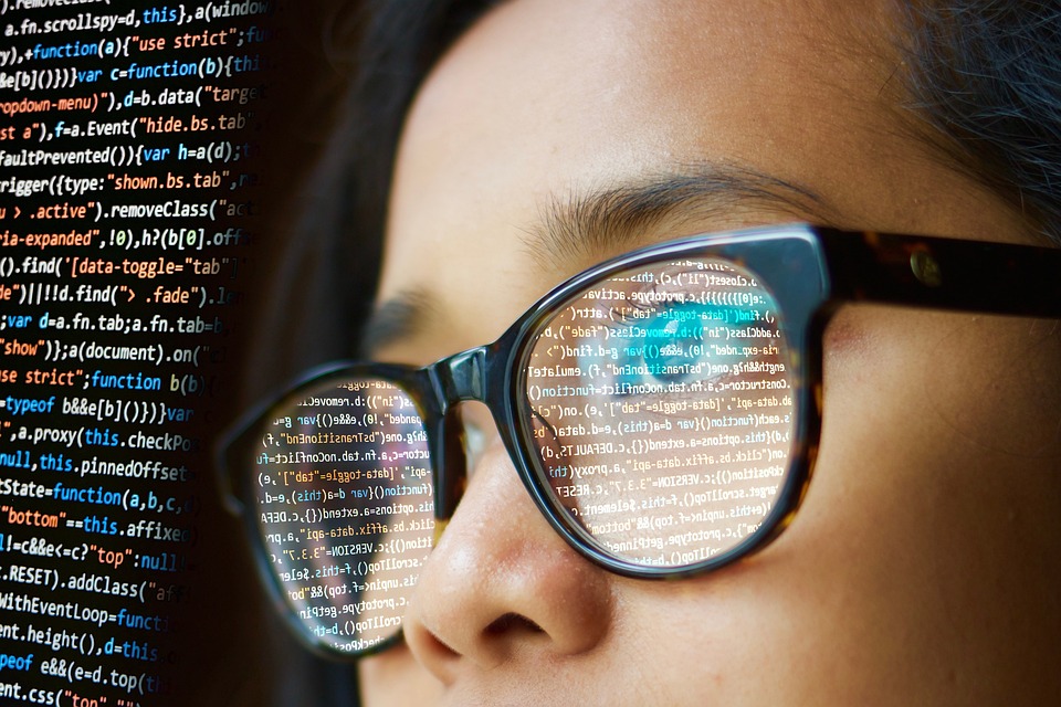 Essential Skills and Responsibilities for Analyst-Programmer Roles: A Shortage Occupation with Promising Career Prospects