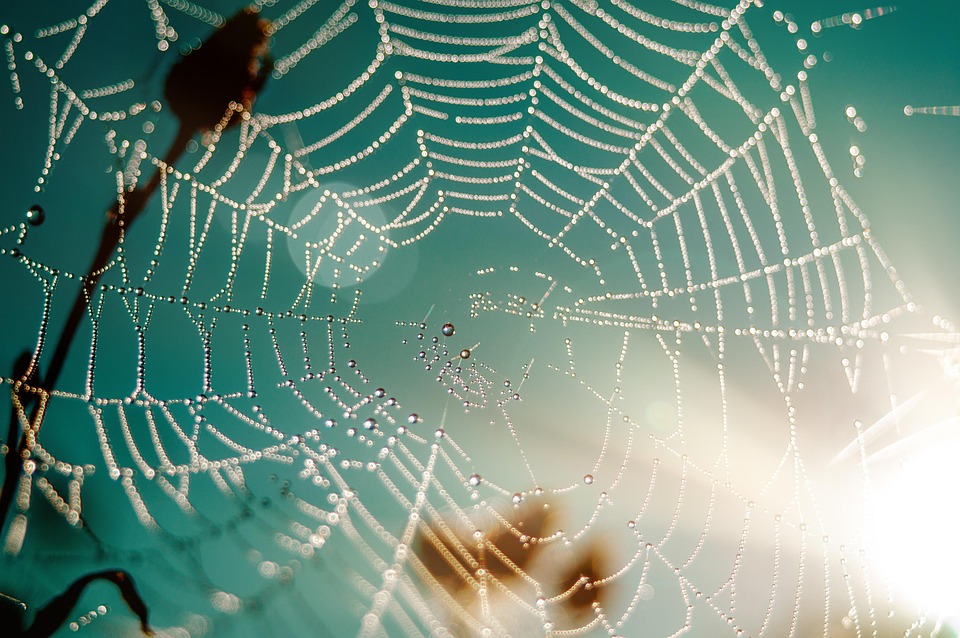 Essential Skills and Responsibilities for Web Manager Positions: A Shortage Role Open to Work Visa Applicants