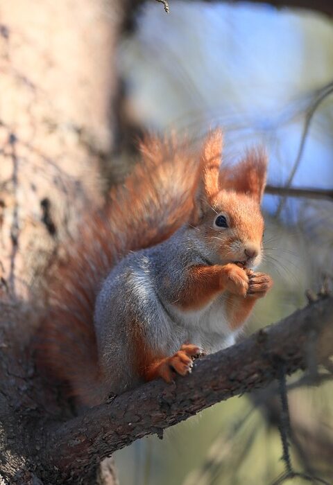 Essential Job Search Tips for Securing Tier 2 Visa Jobs in the UK