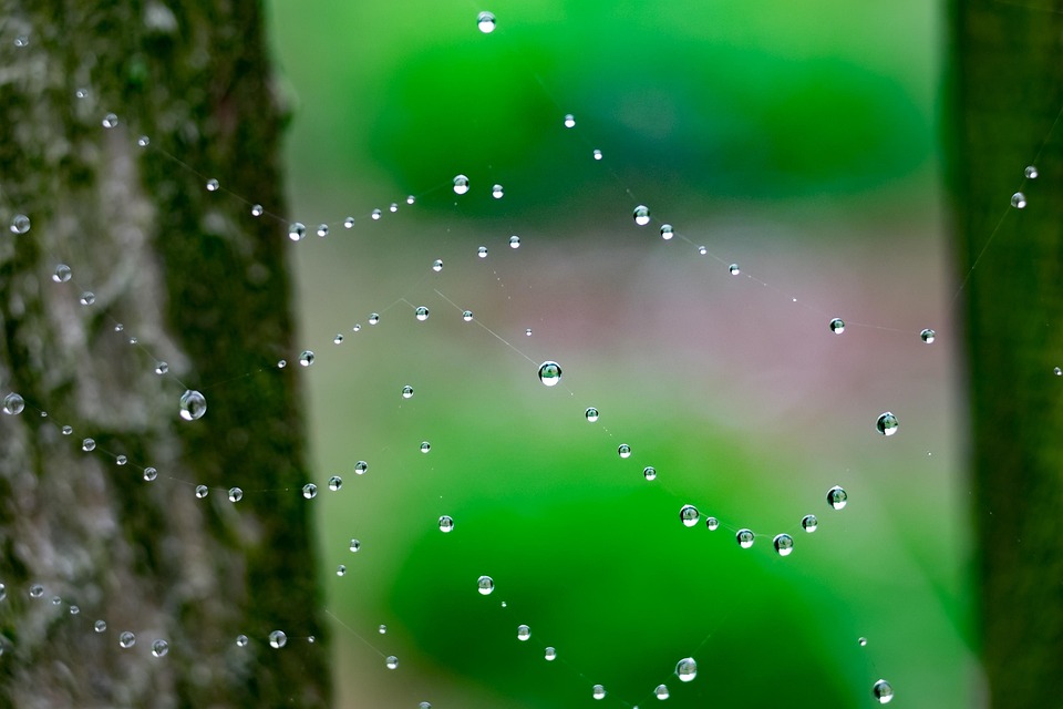 Essential Tips for Building a Professional Network in the UK: A Job Seekers Guide