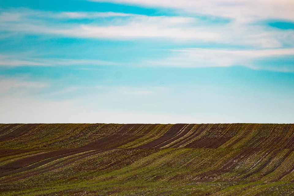 Essential Skills and Responsibilities for Land Management Advisers: A Shortage Occupation with Promising Career Prospects