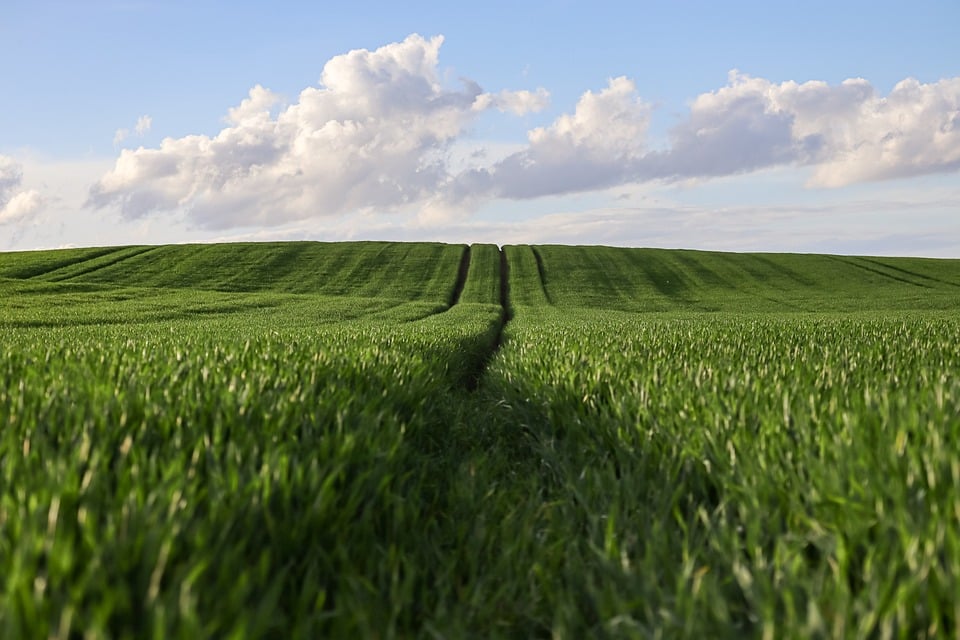 Essential Skills and Responsibilities for Land Management Adviser: A Shortage Occupation with Promising Career Prospects