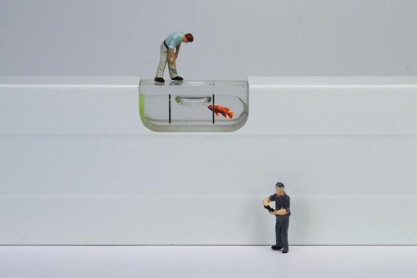 Unlocking Opportunities: Job Application Tips for Aspiring Creatives at The Royal Pottery