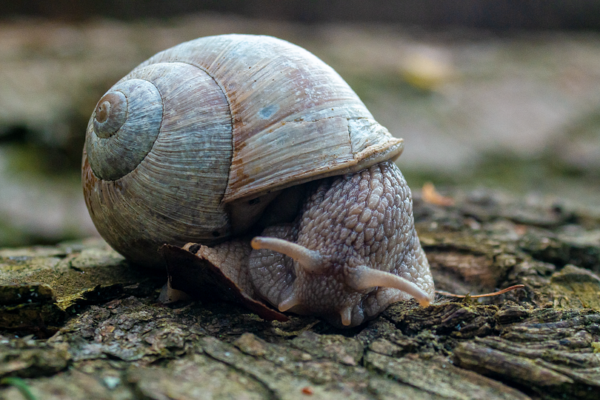 Essential Tips for Securing a Graduate Job in the UK: Your Ultimate Guide to Success